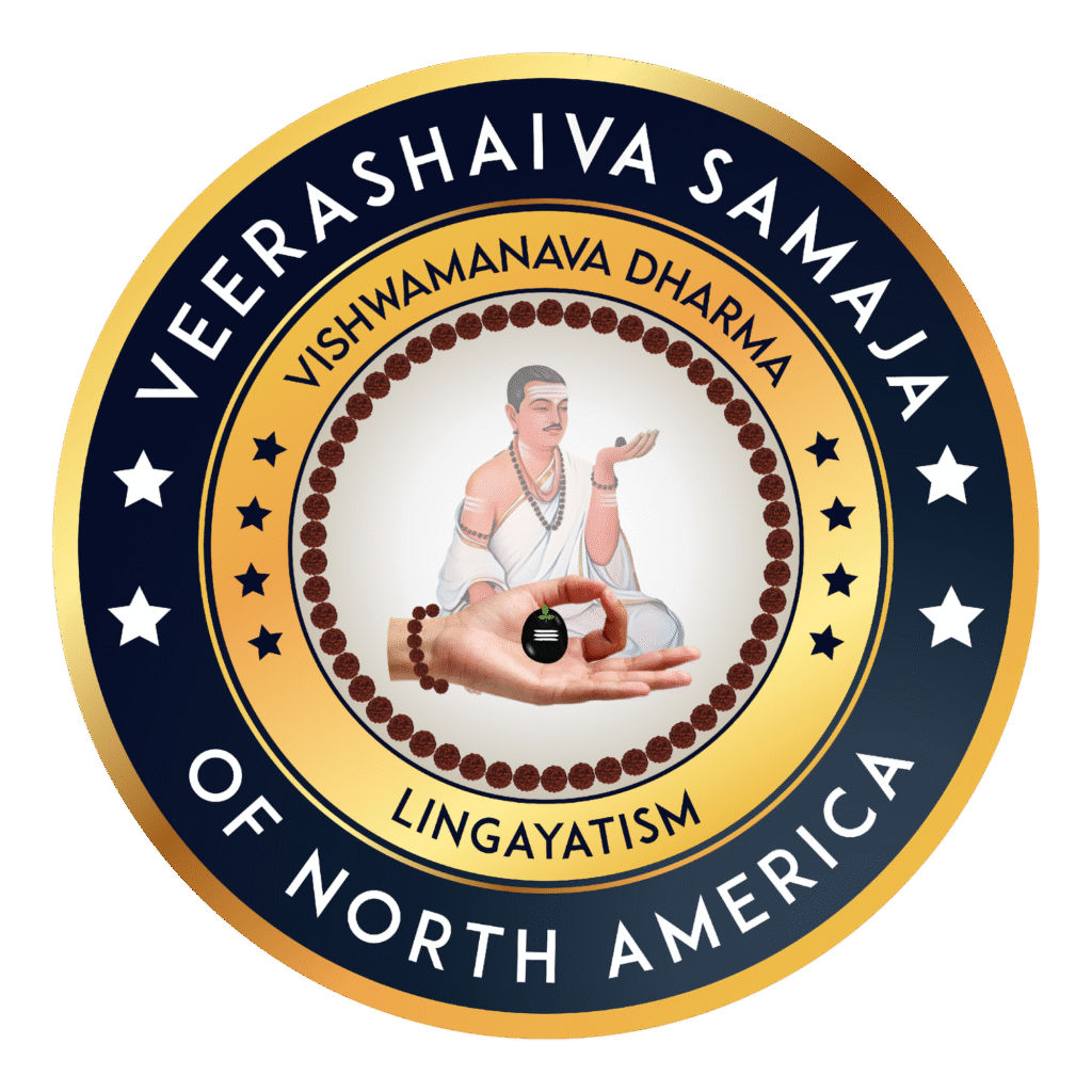 VSNA Logo